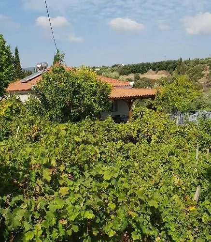 αγιά τριάδα * Koróni