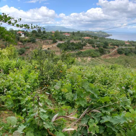 Tatil Evi Agia Triada