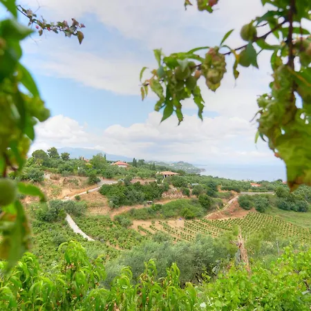 Agia Triada Tatil Evi *